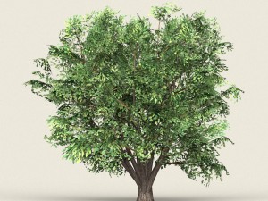 game ready forest tree 11 Model 3D