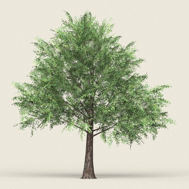 game ready forest tree 12 3Dモデル .c4d .max .obj .3ds .fbx .stl .blend 