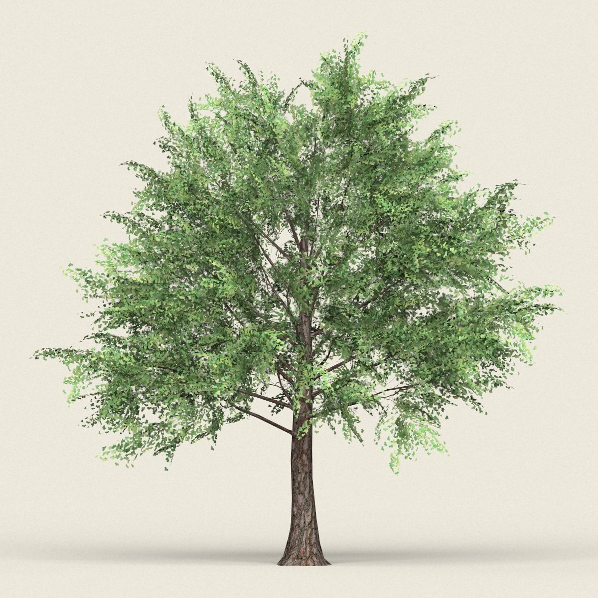 Лиственница сибирская дерево. 3d low poly tree. Game ready tree. Семейное дерево статуэтка. Дерево 12.