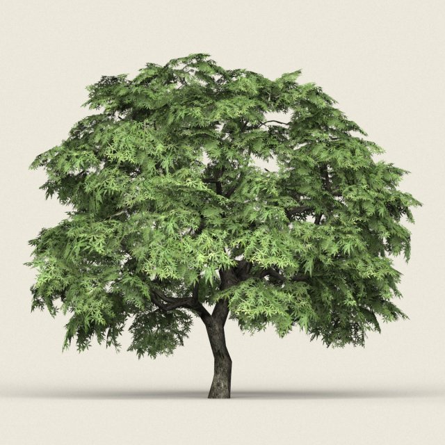 game ready forest tree 14 3D मॉडल .c4d .max .obj .3ds .fbx .stl .blend 