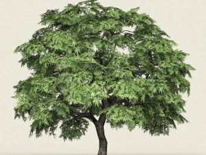oyuna hazır orman ağacı 14 3D Model