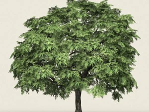 game ready forest tree 14 3D Model