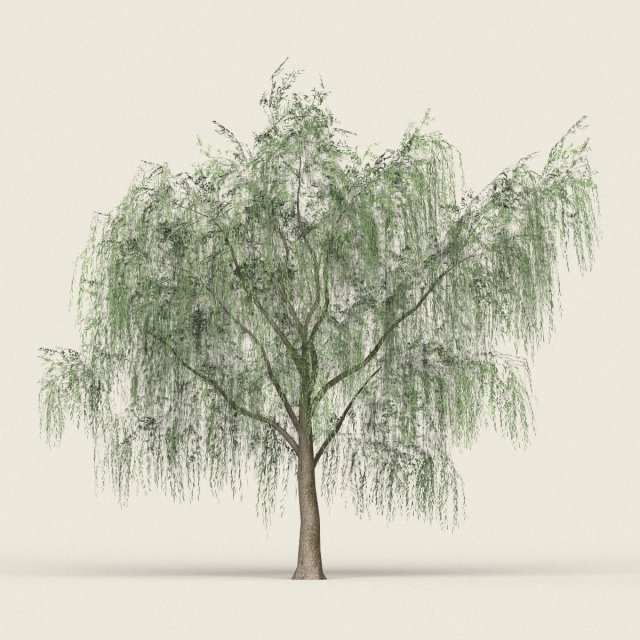 game ready forest tree 15 Modelo 3D .c4d .max .obj .3ds .fbx .stl .blend 