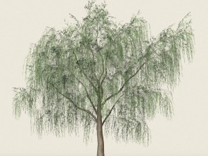 game ready forest tree 15 3D Model