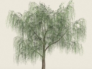 game ready forest tree 15 Modelo 3D