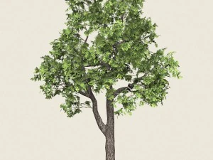 gioco pronto albero forestale 16 Modello 3D
