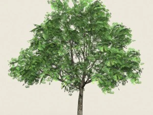 game ready forest tree 17 3D Model