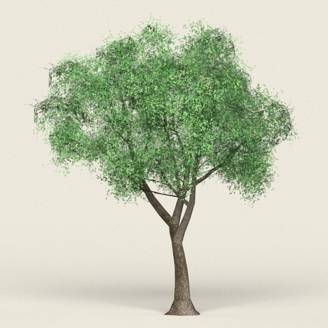 game ready forest tree 18 3D मॉडल .c4d .max .obj .3ds .fbx .stl .blend 