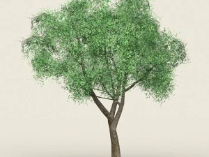 spel klaar bosboom 18 3D Model