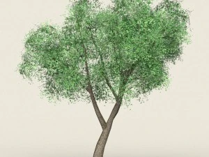 game ready forest tree 18 3D Model