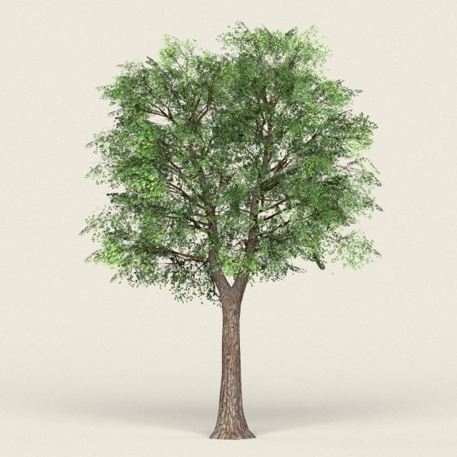 game ready forest tree 19 3D Model .c4d .max .obj .3ds .fbx .stl .blend 