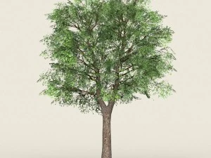gioco pronto albero forestale 19 Modello 3D