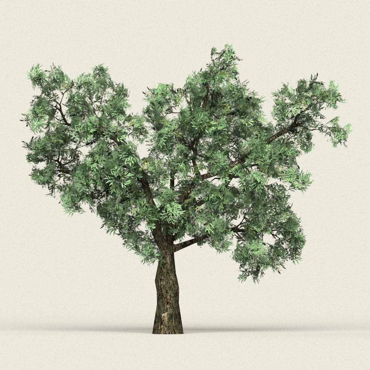 game ready forest tree 20 3D Model .c4d .max .obj .3ds .fbx .stl .blend