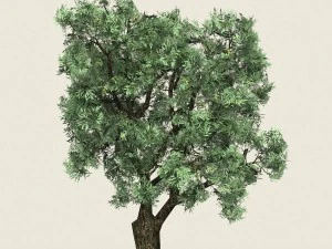 game ready forest tree 20 3D Model