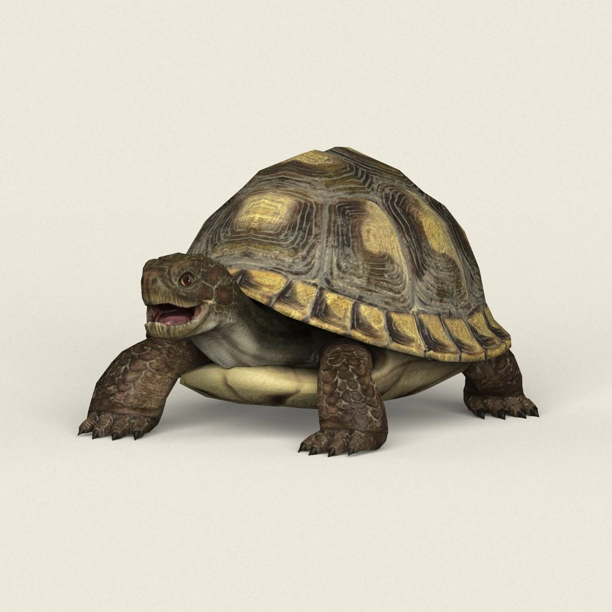 game ready tortoise 3D Model .c4d .max .obj .3ds .fbx .stl .blend 