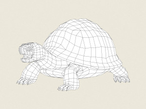 game ready tortoise 3D मॉडल