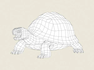 game ready tortoise 3D Model