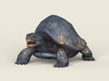 Game Ready Mountain Turtle 3D Model