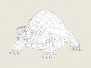 game ready mountain turtle 3D 模型