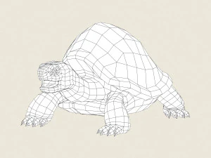 game ready mountain turtle 3D Model