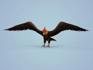 fantasy eagle 3D मॉडल