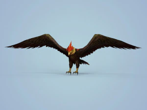 fantasy eagle 3D Model