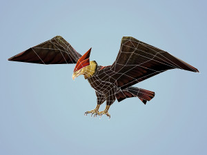 fantasy eagle 3D मॉडल