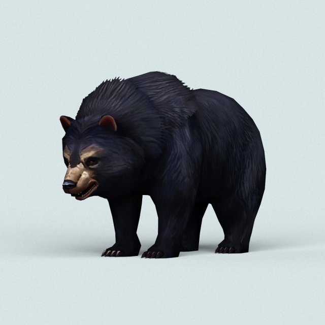 wild bear Modello 3D .c4d .max .obj .3ds .fbx .stl .blend 
