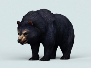 wild bear 3D Model