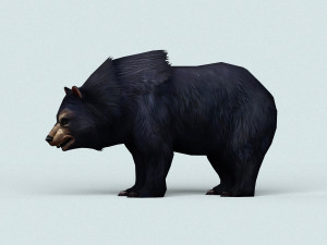 wild bear Modello 3D