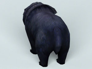 wild bear 3D Model