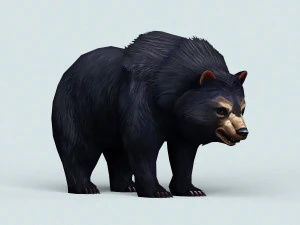 wild bear 3D Model