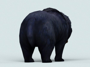 wild bear Modello 3D