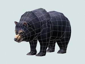 wild bear Modello 3D