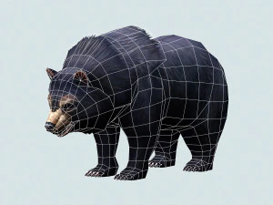 wild bear 3D Model