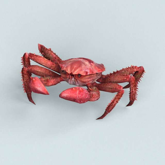 christmas island red crab 3D-Modell .c4d .max .obj .3ds .fbx .stl .blend 