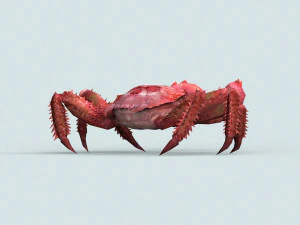 christmas island red crab 3D Model