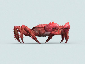 christmas island red crab 3D-Modell