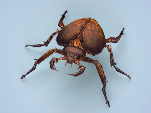 fantasy monster bug 3D Model