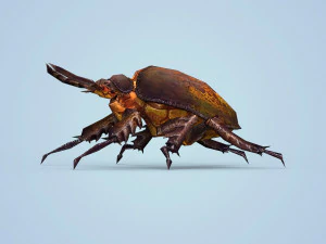 fantasy monster bug 3D Model