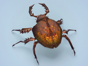 fantasy monster bug 3D मॉडल