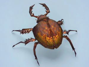 fantasy monster bug 3D Model