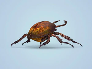 fantasy monster bug 3D Model