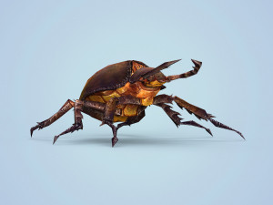 fantasy monster bug 3D मॉडल
