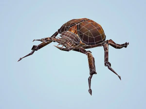 fantasy monster bug 3D Model