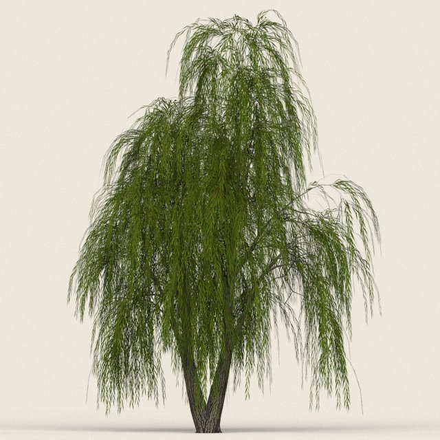 game ready willow tree 01 3D मॉडल .c4d .max .obj .3ds .fbx .stl .blend 
