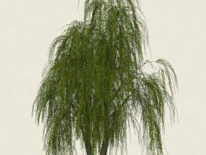 spel klaar wilg 01 3D Model