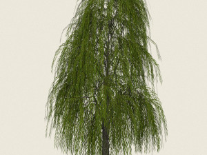 game ready willow tree 02 3D Модель