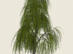 game ready willow tree 02 3D Модель