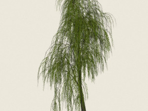 game ready willow tree 04 Modèle 3D